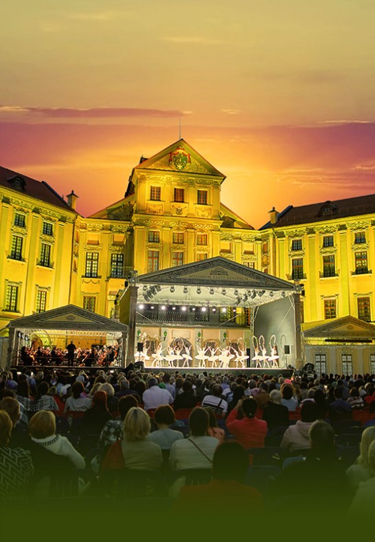 Вечера Большого театра в замке Радзивиллов / Evenings Of The Bolshoi Theatre At The Radziwill Castle